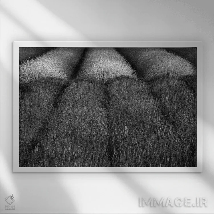 تابلو مزارع اسطوخودوس اثر دنیس فراتس - نمای قابدار سفید