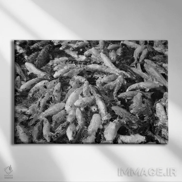 تابلو گروه ماهیهای کوی اثر دنیس فراتس - نمای روبهرو روی دیوار