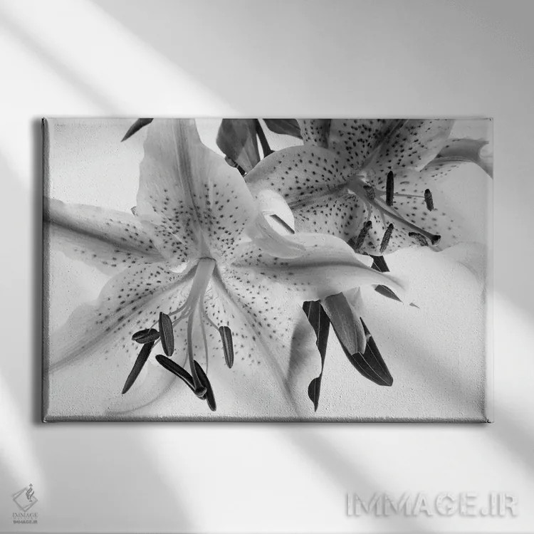 تابلو نمای نزدیک از سوسن اثر دنیس فراتس - نمای روبهرو روی دیوار