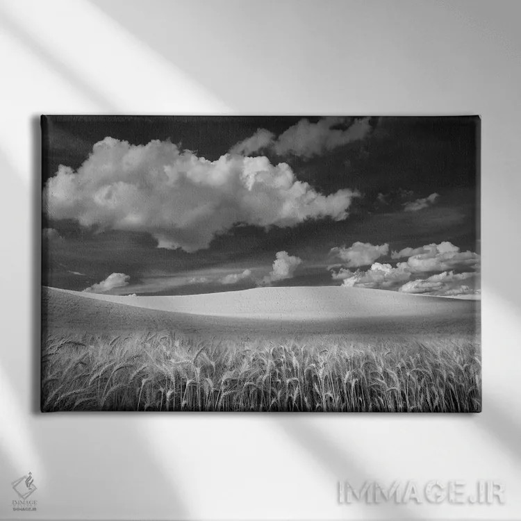 تابلو مزرعهٔ گندم اثر دنیس فراتس - نمای روبهرو روی دیوار