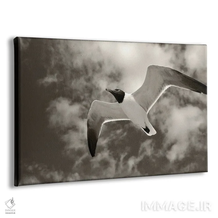 تابلو مرغ دریایی در پرواز II اثر دنیس فراتس - نمای پرسپکتیو محصول