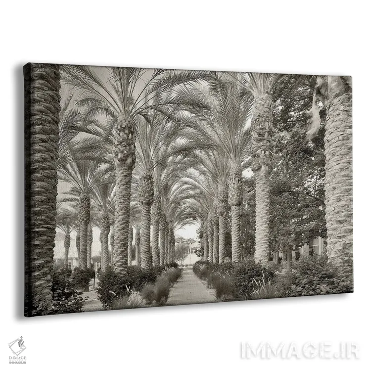 تابلو راه نخلها ۲ اثر دنیس فراتس - نمای پرسپکتیو محصول