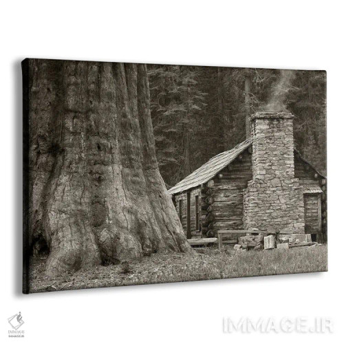 تابلو کلبه و درخت ردوود اثر دنیس فراتس - نمای پرسپکتیو محصول