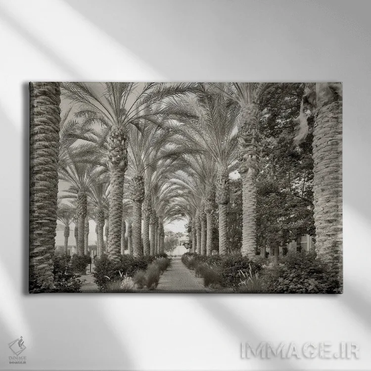 تابلو راه نخلها ۲ اثر دنیس فراتس - نمای روبهرو روی دیوار