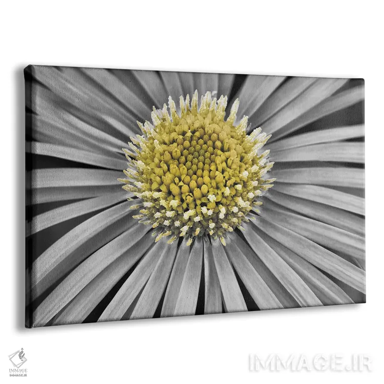 تابلو بابونه ۲ اثر دنیس فراتس - نمای پرسپکتیو محصول