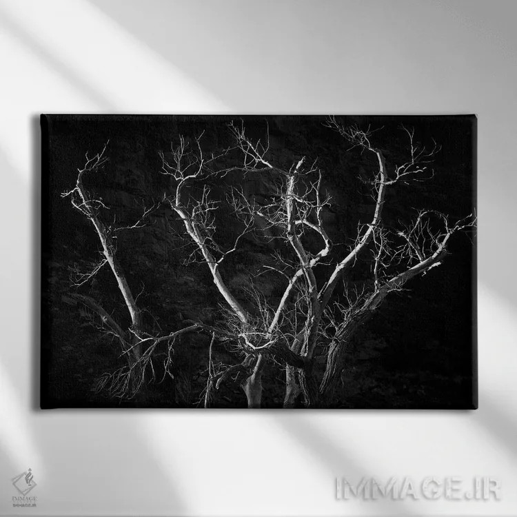 تابلو درخت عجیب اثر دنیس فراتس - نمای روبهرو روی دیوار