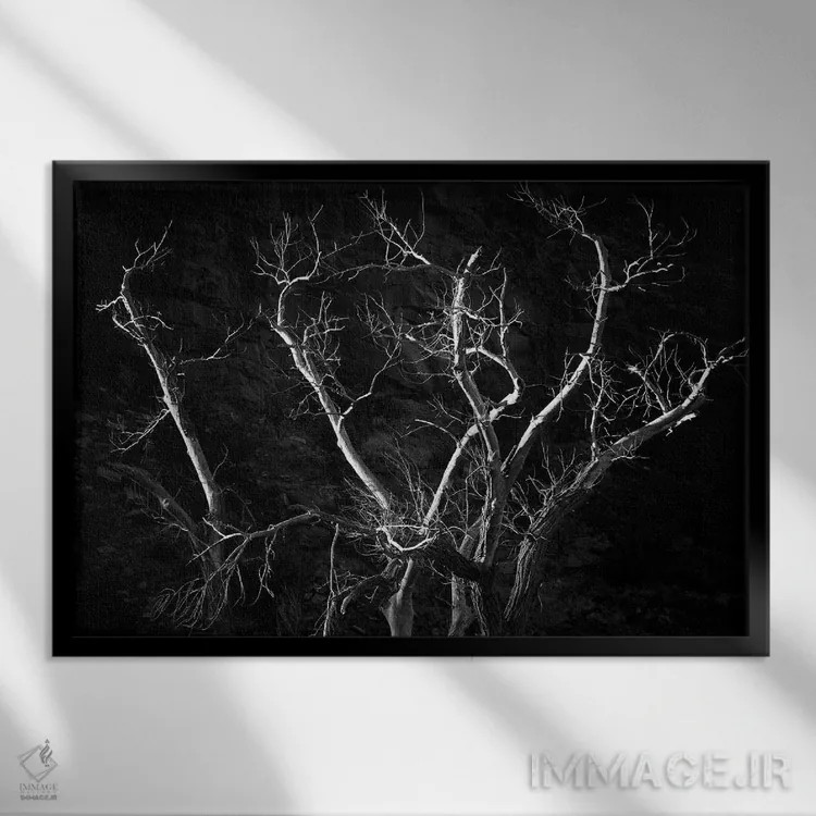 تابلو درخت عجیب اثر دنیس فراتس - نمای قابدار مشکی