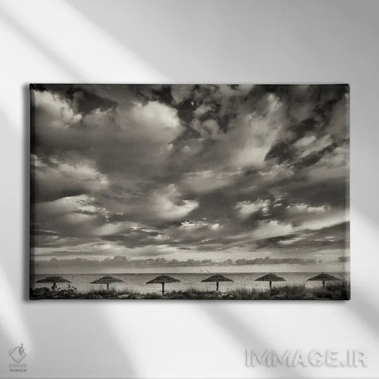 تابلو چترهای گرمسیری ۳ اثر دنیس فراتس - نمای روبهرو روی دیوار