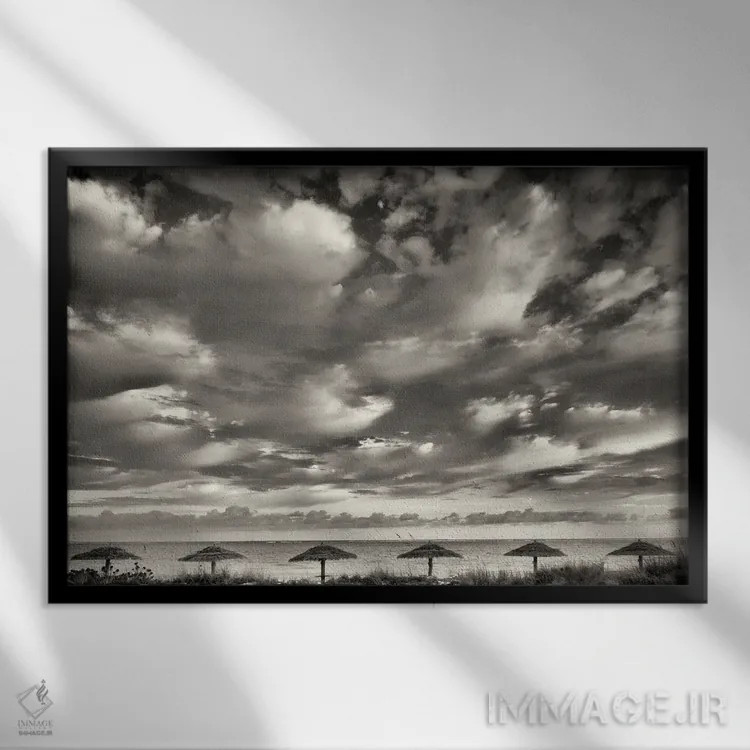 تابلو چترهای گرمسیری ۳ اثر دنیس فراتس - نمای قابدار مشکی