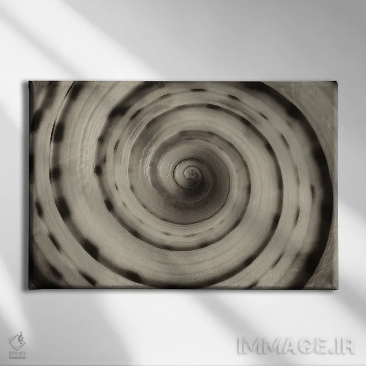 تابلو صدف مارپیچی ۲ اثر دنیس فراتس - نمای روبهرو روی دیوار
