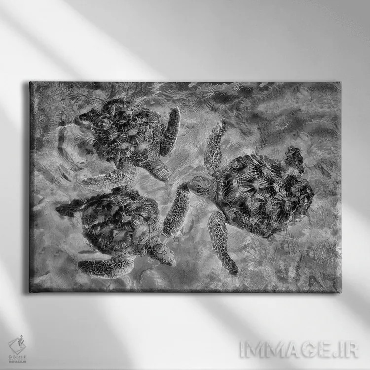 تابلو سه لاکپشت اثر دنیس فراتس - نمای روبهرو روی دیوار