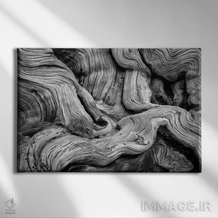 تابلو گره شاخههای درخت اثر دنیس فراتس - نمای روبهرو روی دیوار