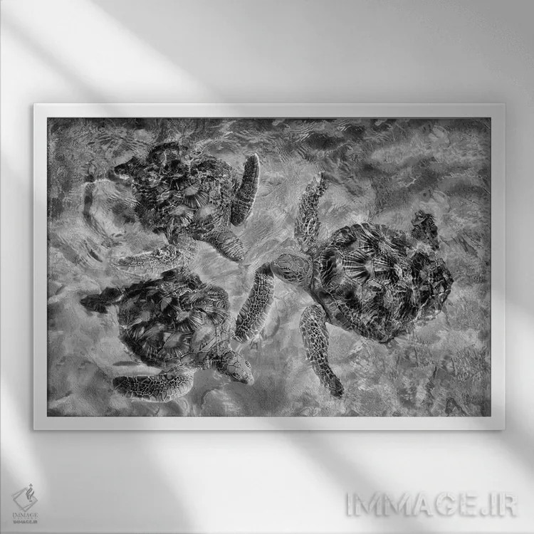 تابلو سه لاکپشت اثر دنیس فراتس - نمای قابدار سفید