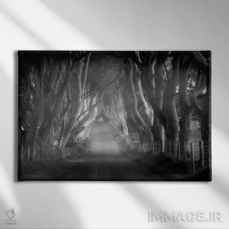 تابلو جاده درختکاری شده ۷ اثر دنیس فراتس - نمای روبهرو روی دیوار