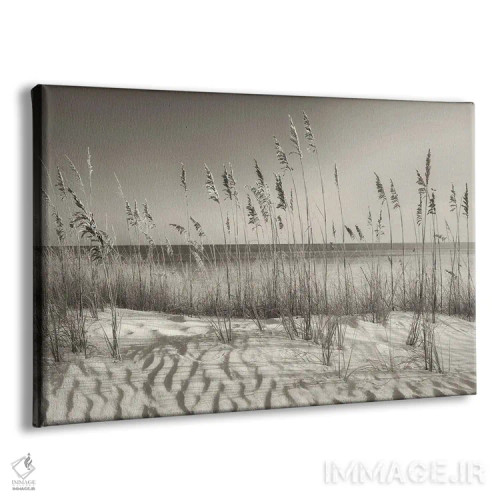 تابلو علفزار شنهای ساحلی اثر دنیس فراتس - نمای پرسپکتیو محصول