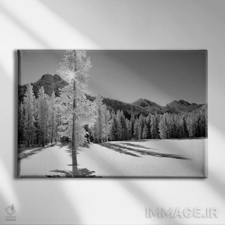 تابلو یخزده ۱ اثر دنیس فراتس - نمای روبهرو روی دیوار
