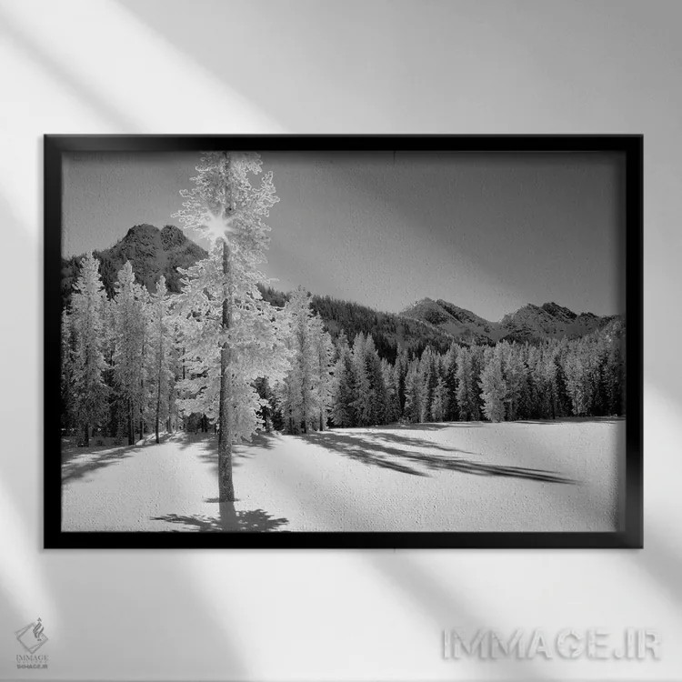 تابلو یخزده ۱ اثر دنیس فراتس - نمای قابدار مشکی