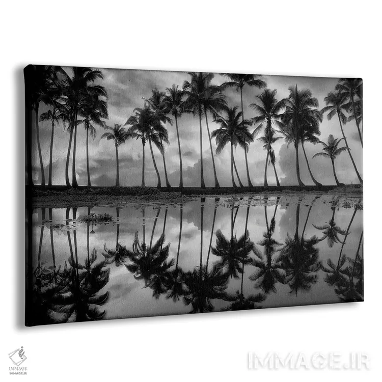 تابلو انعکاس نخل گرمسیری اثر دنیس فراتس - نمای پرسپکتیو محصول