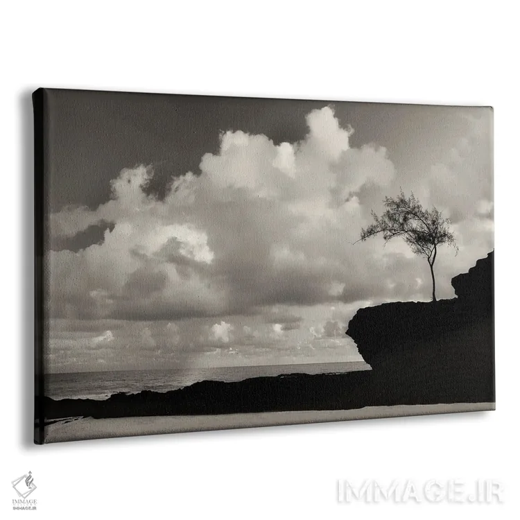 تابلو درخت تنها کنار ساحل اثر دنیس فراتس - نمای پرسپکتیو محصول