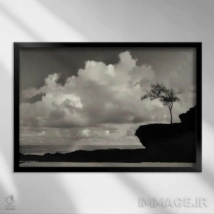 تابلو درخت تنها کنار ساحل اثر دنیس فراتس - نمای قابدار مشکی