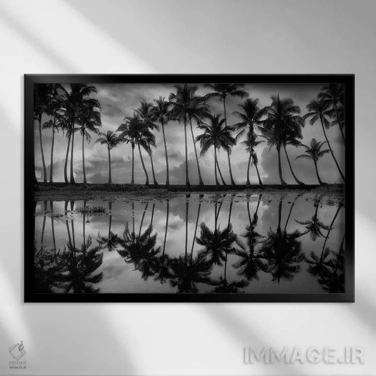 تابلو انعکاس نخل گرمسیری اثر دنیس فراتس - نمای قابدار مشکی