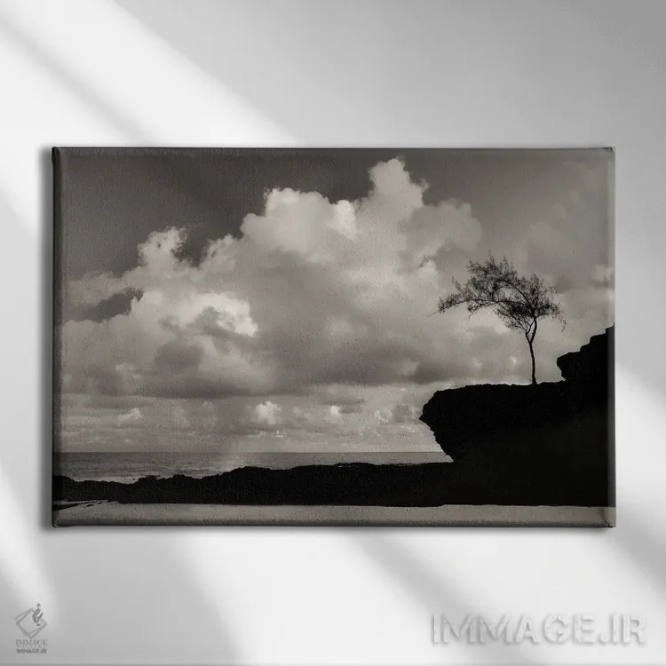 تابلو درخت تنها کنار ساحل اثر دنیس فراتس - نمای روبهرو روی دیوار