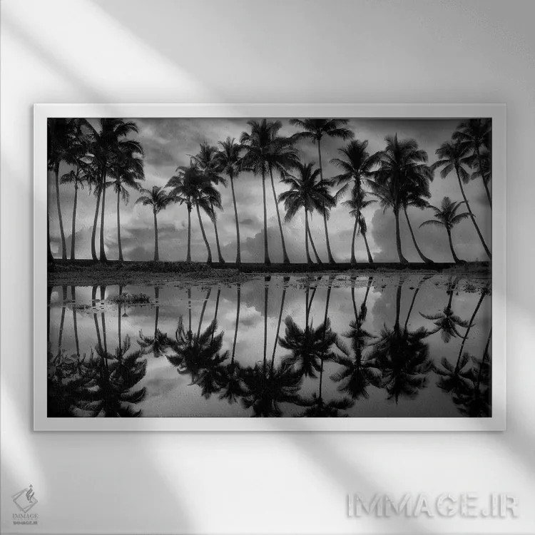 تابلو انعکاس نخل گرمسیری اثر دنیس فراتس - نمای قابدار سفید