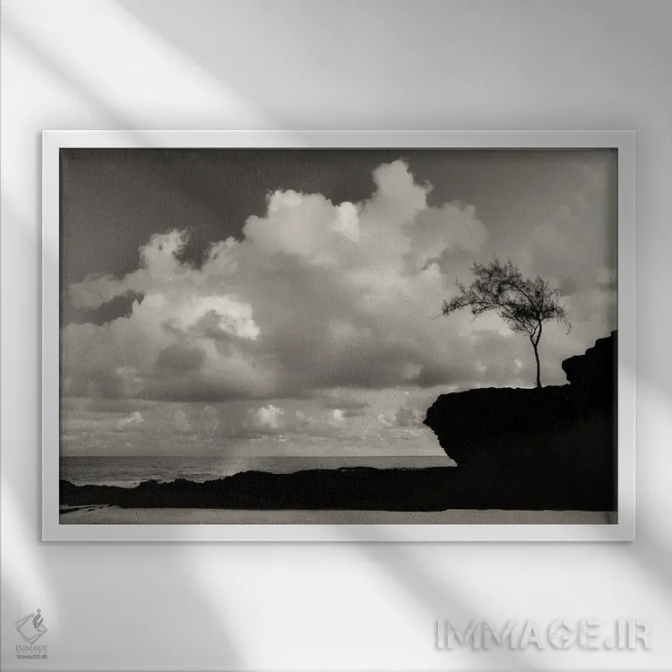 تابلو درخت تنها کنار ساحل اثر دنیس فراتس - نمای قابدار سفید