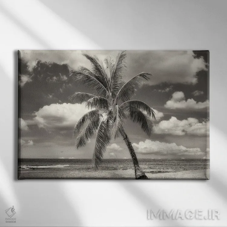 تابلو کاج گرمسیری تنها اثر دنیس فراتس - نمای روبهرو روی دیوار