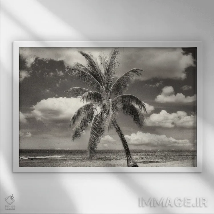 تابلو کاج گرمسیری تنها اثر دنیس فراتس - نمای قابدار سفید