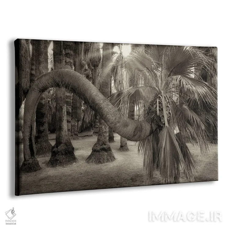 تابلو نخل پیچخورده اثر دنیس فراتس - نمای پرسپکتیو محصول