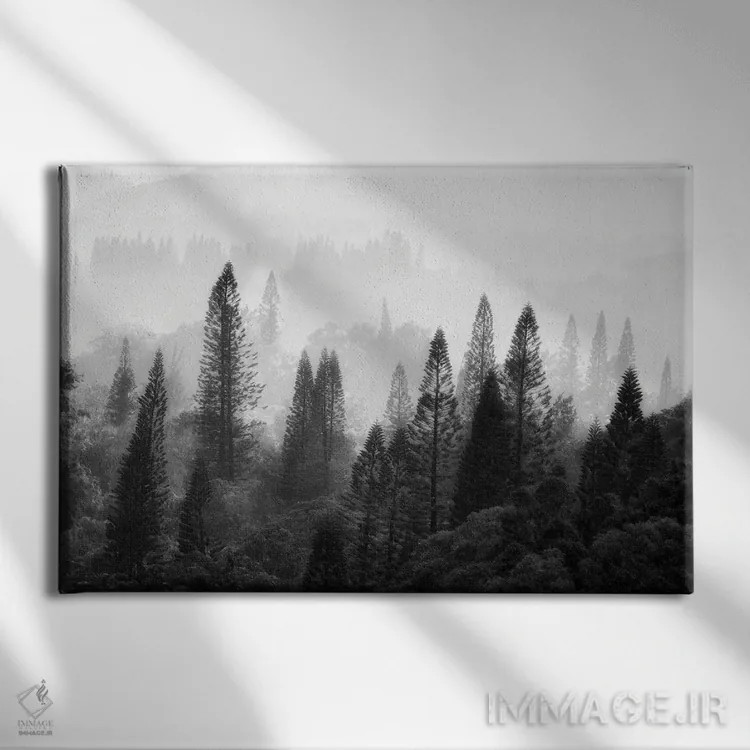 تابلو درختان گرمسیری ۴ اثر دنیس فراتس - نمای روبهرو روی دیوار