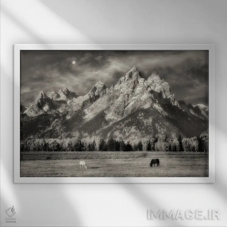 تابلو اسبهای تتون در چراگاه اثر دنیس فراتس - نمای قابدار سفید