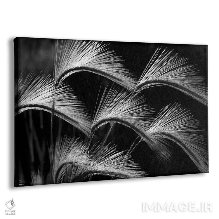 تابلو نمای نزدیک چمن اثر دنیس فراتس - نمای پرسپکتیو محصول