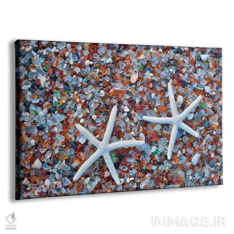 تابلو ستاره دریایی ساحل شیشهای اثر دنیس فراتس - نمای پرسپکتیو محصول