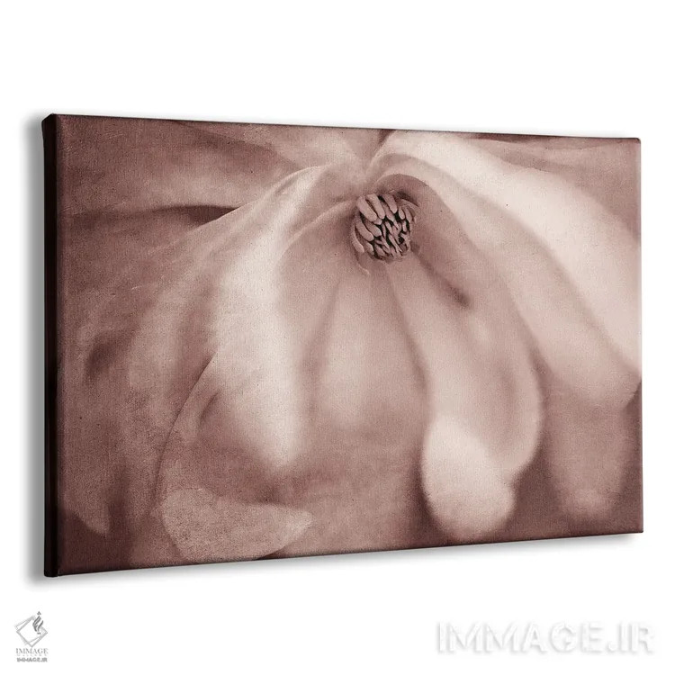 تابلو ماگنولیا (نوعی درخت گلدار) اثر دنیس فراتس - نمای پرسپکتیو محصول