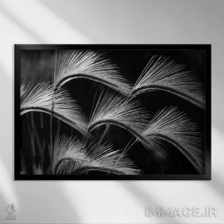 تابلو نمای نزدیک چمن اثر دنیس فراتس - نمای قابدار مشکی