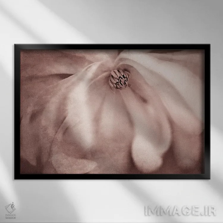 تابلو ماگنولیا (نوعی درخت گلدار) اثر دنیس فراتس - نمای قابدار مشکی