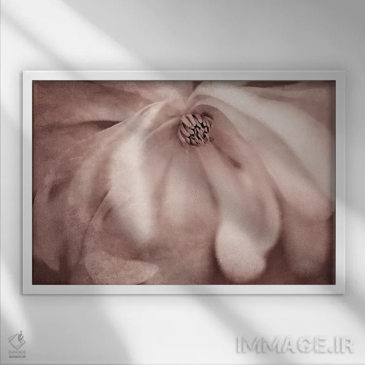 تابلو ماگنولیا (نوعی درخت گلدار) اثر دنیس فراتس - نمای قابدار سفید