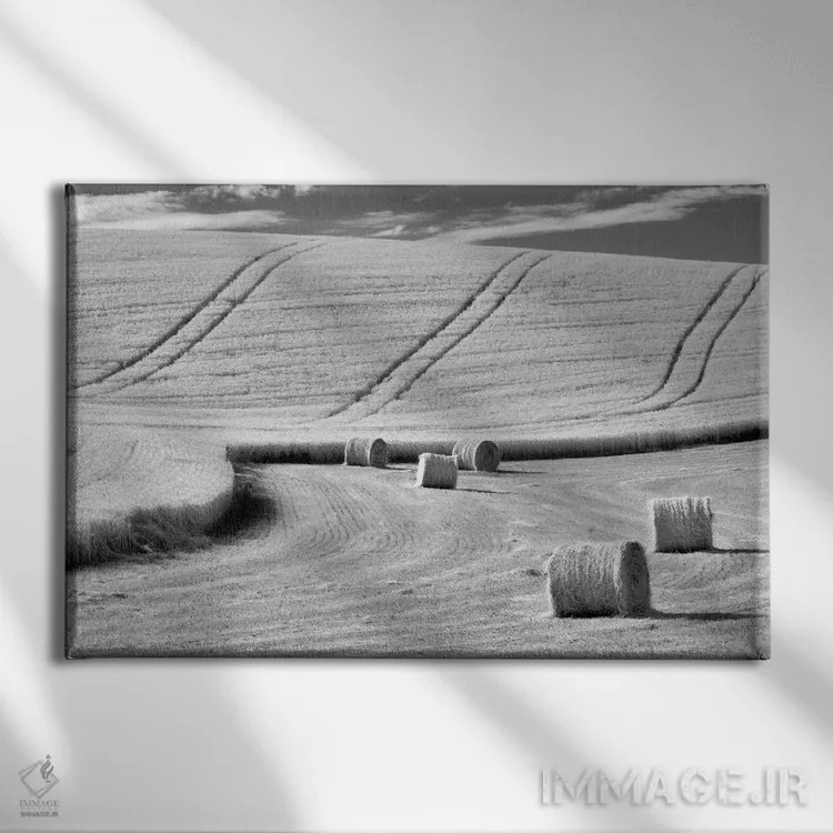 تابلو برداشت (محصول) اثر دنیس فراتس - نمای روبهرو روی دیوار