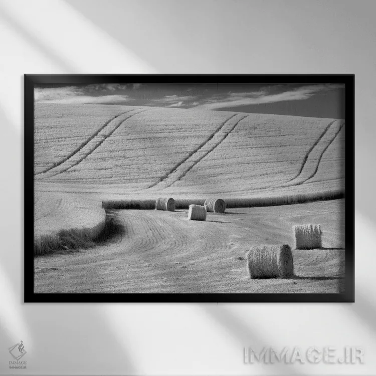 تابلو برداشت (محصول) اثر دنیس فراتس - نمای قابدار مشکی
