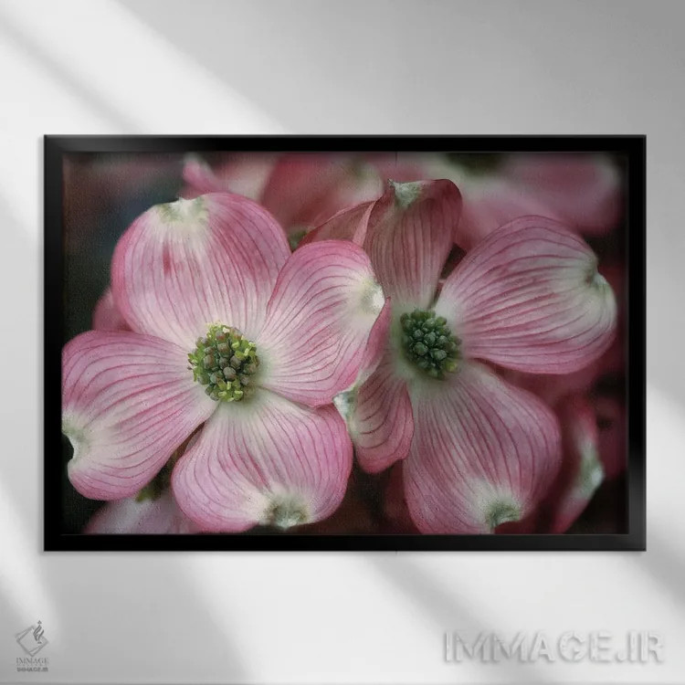 تابلو درخت درگوود (نوعی درخت) اثر دنیس فراتس - نمای قابدار مشکی