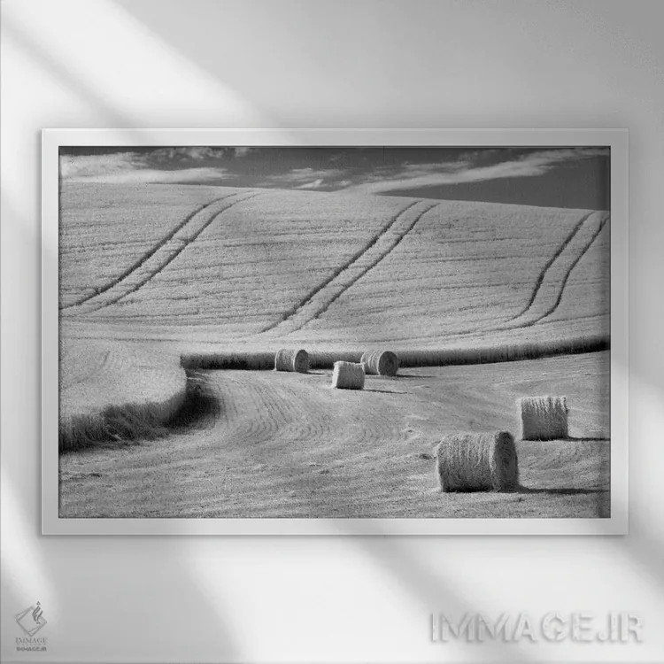 تابلو برداشت (محصول) اثر دنیس فراتس - نمای قابدار سفید