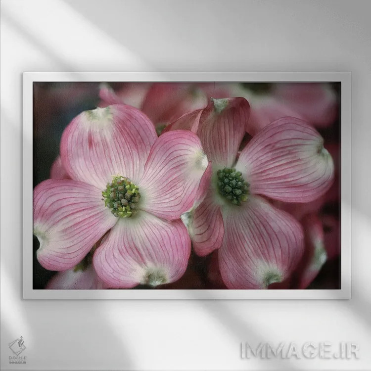 تابلو درخت درگوود (نوعی درخت) اثر دنیس فراتس - نمای قابدار سفید