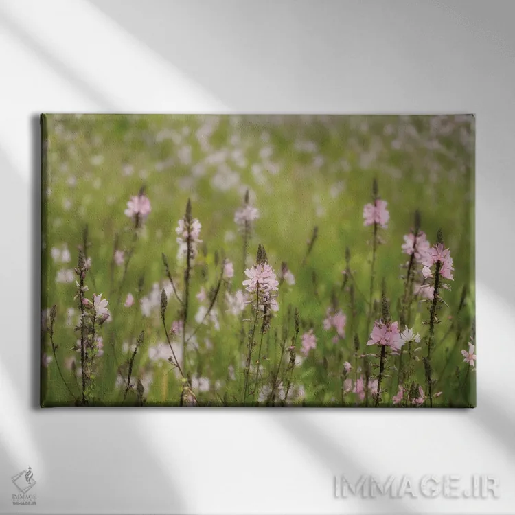 تابلو گلهای وحشی پنج اثر دنیس فراتس - نمای روبهرو روی دیوار