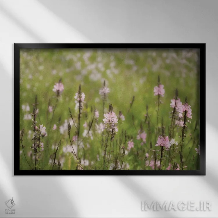 تابلو گلهای وحشی پنج اثر دنیس فراتس - نمای قابدار مشکی