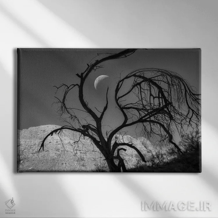 تابلو سیلوئت درخت و ماه اثر دنیس فراتس - نمای روبهرو روی دیوار