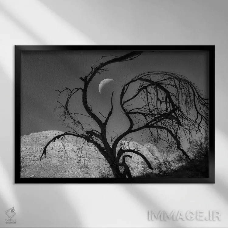 تابلو سیلوئت درخت و ماه اثر دنیس فراتس - نمای قابدار مشکی