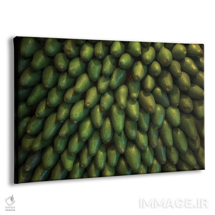 تابلو آووکادوها (میوهٔ گرمسیری) اثر دنیس فراتس - نمای پرسپکتیو محصول