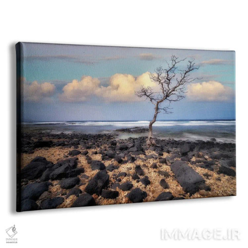 تابلو غروب درخت اثر دنیس فراتس - نمای پرسپکتیو محصول